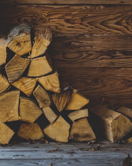 Kiedy przydają się nowoczesne drewutnie?